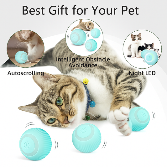 Automatic Pet Teasing Ball