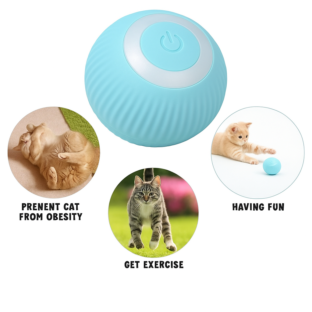 Automatic Pet Teasing Ball